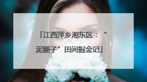 江西萍乡湘东区：“泥腿子”田间掘金记