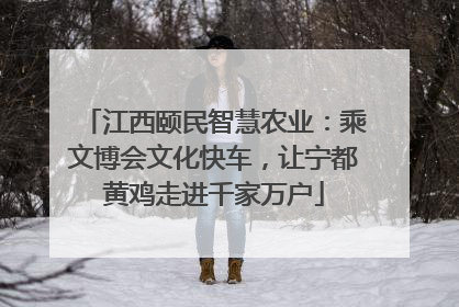 江西颐民智慧农业：乘文博会文化快车，让宁都黄鸡走进千家万户