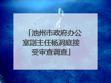 池州市政府办公室副主任杨洞庭接受审查调查