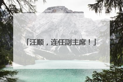 汪顺，连任副主席！