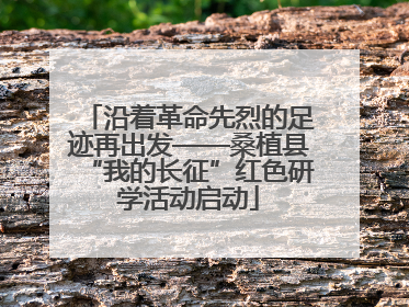 沿着革命先烈的足迹再出发——桑植县“我的长征”红色研学活动启动