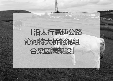 沿太行高速公路沁河特大桥钢混组合梁圆满架设