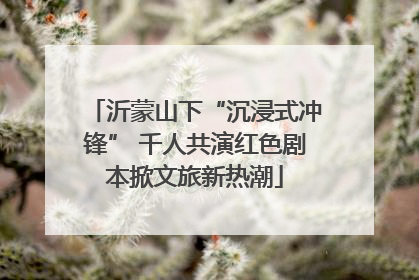 沂蒙山下“沉浸式冲锋” 千人共演红色剧本掀文旅新热潮