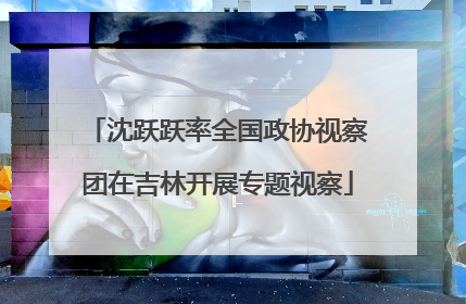 沈跃跃率全国政协视察团在吉林开展专题视察