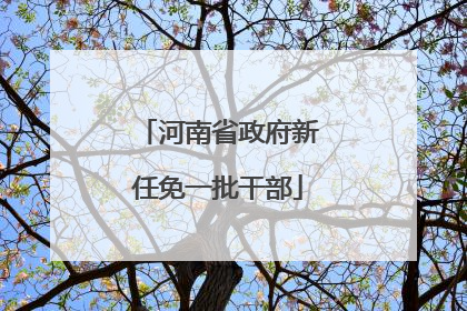 河南省政府新任免一批干部