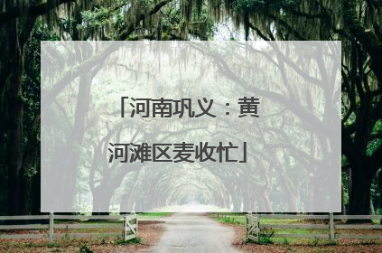 河南巩义：黄河滩区麦收忙
