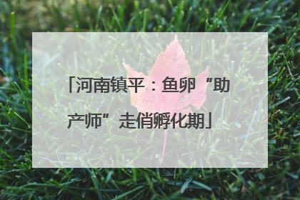 河南镇平：鱼卵“助产师”走俏孵化期