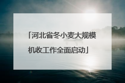 河北省冬小麦大规模机收工作全面启动