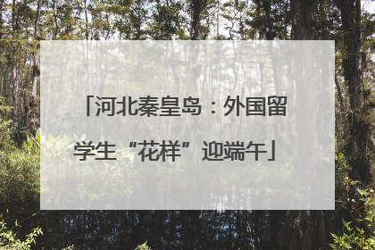 河北秦皇岛：外国留学生“花样”迎端午