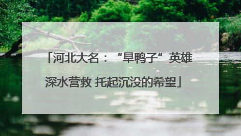 河北大名：“旱鸭子”英雄深水营救 托起沉没的希望
