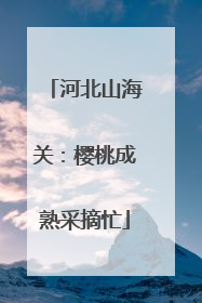 河北山海关：樱桃成熟采摘忙