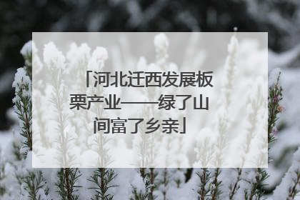 河北迁西发展板栗产业——绿了山间富了乡亲