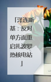 泽连斯基：反对单方面重启扎波罗热核电站