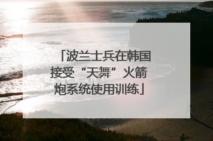 波兰士兵在韩国接受“天舞”火箭炮系统使用训练