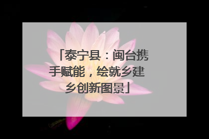 泰宁县：闽台携手赋能，绘就乡建乡创新图景