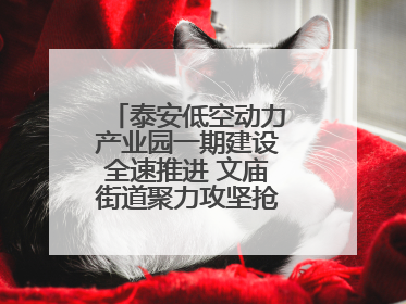 泰安低空动力产业园一期建设全速推进 文庙街道聚力攻坚抢抓“进度条”