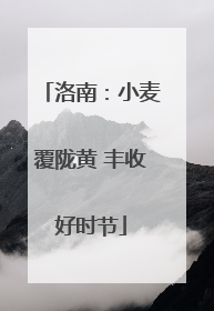 洛南：小麦覆陇黄 丰收好时节