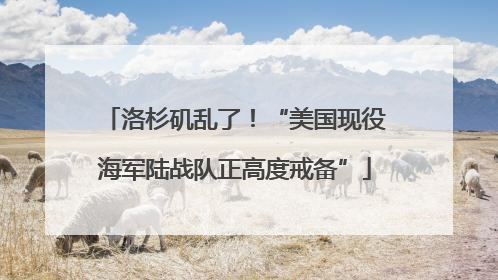洛杉矶乱了！“美国现役海军陆战队正高度戒备”