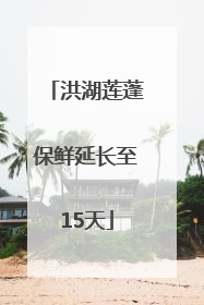 洪湖莲蓬保鲜延长至15天