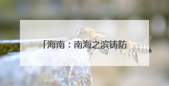 海南：南海之滨铸防线 气象长城护琼崖｜增发国债气象项目落地见效系列报道