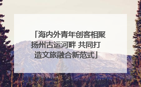 海内外青年创客相聚扬州古运河畔 共同打造文旅融合新范式