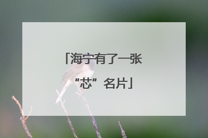 海宁有了一张“芯”名片