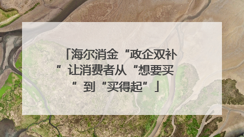 海尔消金“政企双补”让消费者从“想要买”到“买得起”
