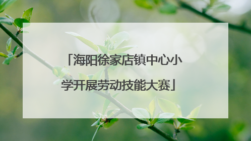 海阳徐家店镇中心小学开展劳动技能大赛