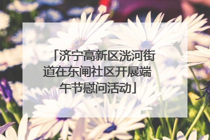 济宁高新区洸河街道在东闸社区开展端午节慰问活动