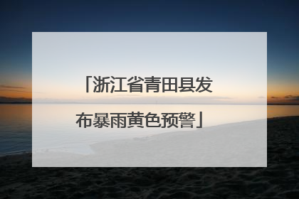 浙江省青田县发布暴雨黄色预警