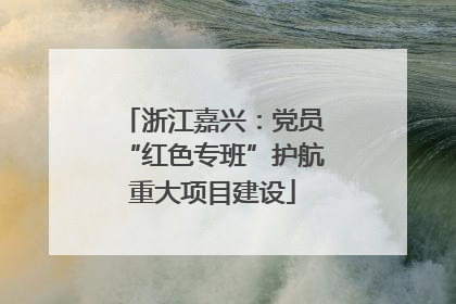 浙江嘉兴：党员“红色专班”护航重大项目建设