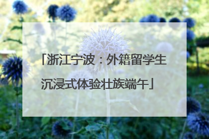 浙江宁波：外籍留学生沉浸式体验壮族端午