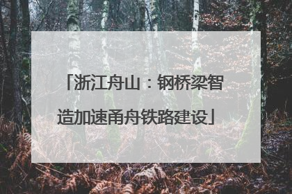 浙江舟山：钢桥梁智造加速甬舟铁路建设