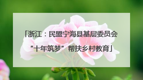 浙江：民盟宁海县基层委员会“十年筑梦”帮扶乡村教育