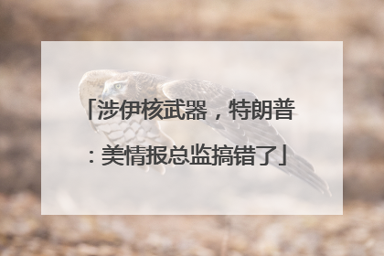 涉伊核武器，特朗普：美情报总监搞错了