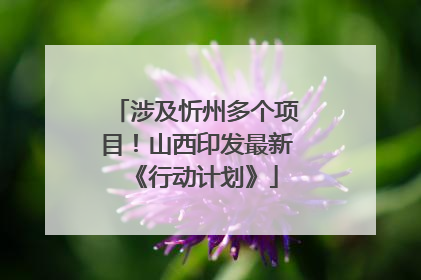 涉及忻州多个项目！山西印发最新《行动计划》