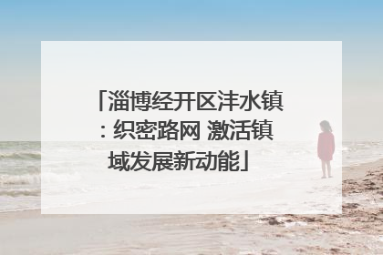 淄博经开区沣水镇：织密路网 激活镇域发展新动能