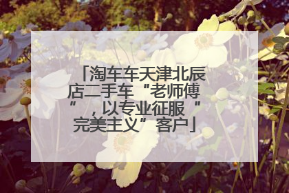 淘车车天津北辰店二手车“老师傅”，以专业征服“完美主义”客户