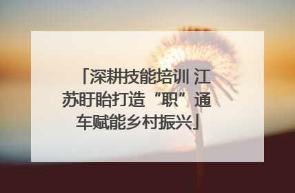 深耕技能培训 江苏盱眙打造“职”通车赋能乡村振兴