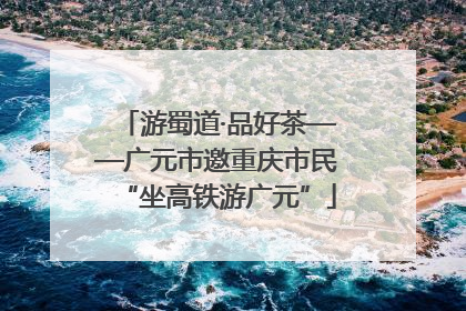 游蜀道·品好茶——广元市邀重庆市民“坐高铁游广元”