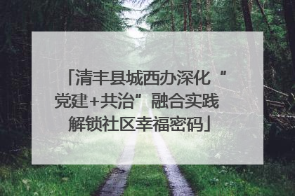 清丰县城西办深化“党建+共治”融合实践 解锁社区幸福密码