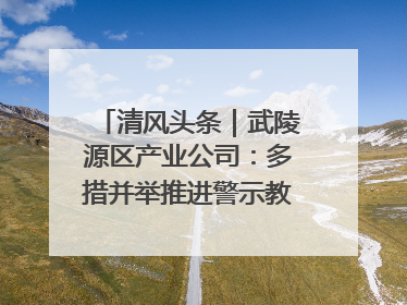 清风头条｜武陵源区产业公司：多措并举推进警示教育走深走实