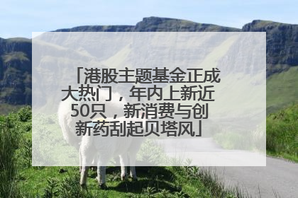 港股主题基金正成大热门，年内上新近50只，新消费与创新药刮起贝塔风