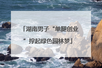 湖南男子“单腿创业”撑起绿色园林梦