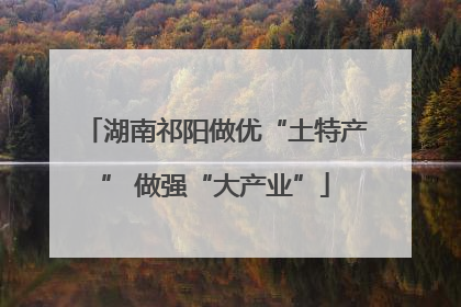 湖南祁阳做优“土特产” 做强“大产业”