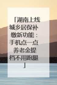 湖南上线城乡居保补缴新功能：手机点一点 养老金提档不用跑腿