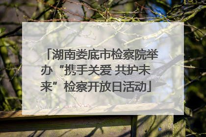 湖南娄底市检察院举办“携手关爱 共护未来”检察开放日活动