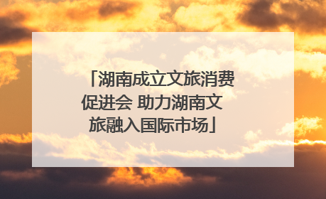 湖南成立文旅消费促进会 助力湖南文旅融入国际市场
