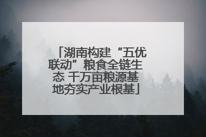 湖南构建“五优联动”粮食全链生态 千万亩粮源基地夯实产业根基