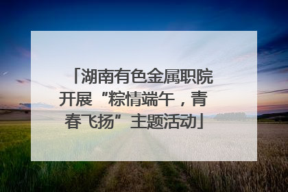 湖南有色金属职院开展“粽情端午，青春飞扬”主题活动